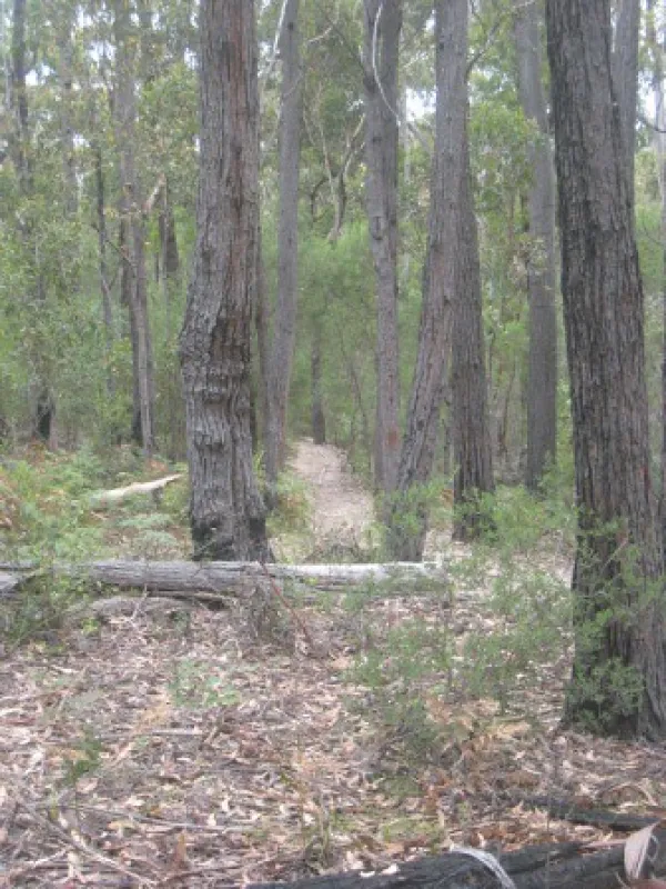 Shipwreck Creek Campground