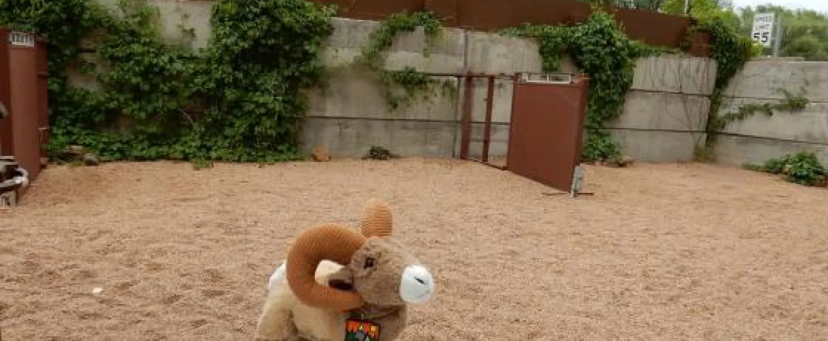 Goldfield RV Campground