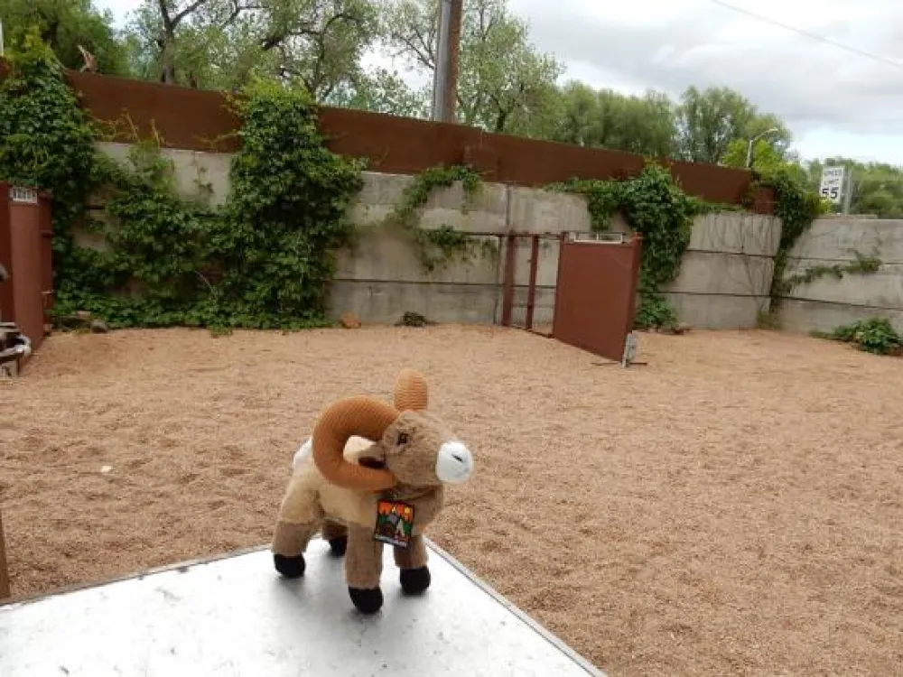 Goldfield RV Campground