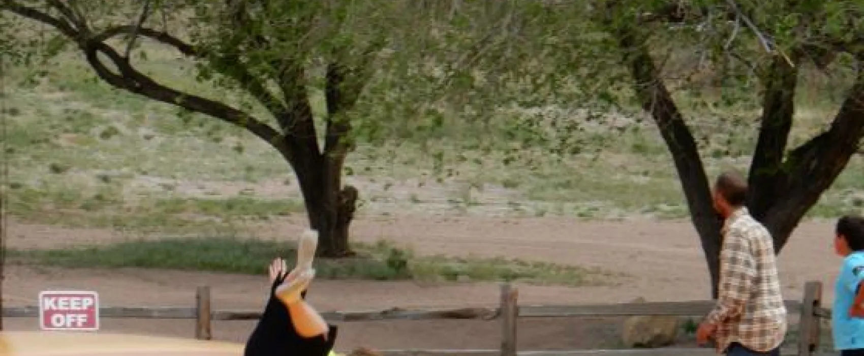 Prospectors RV Resort