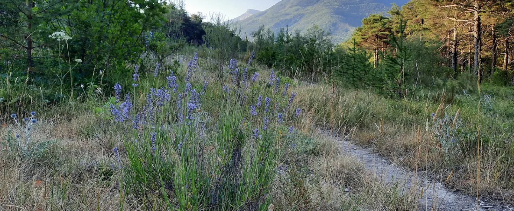 Le parc des Serigons