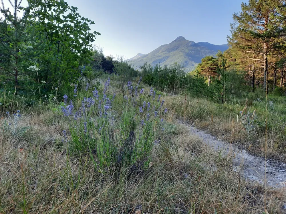 Le parc des Serigons