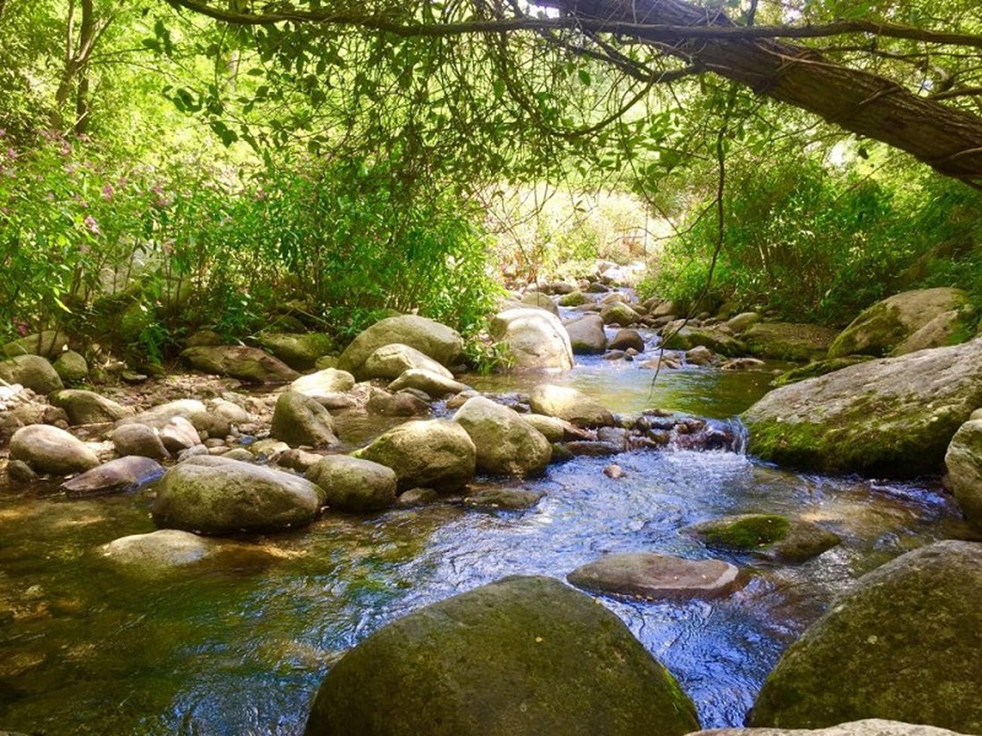 L' Eau Vive photo 3