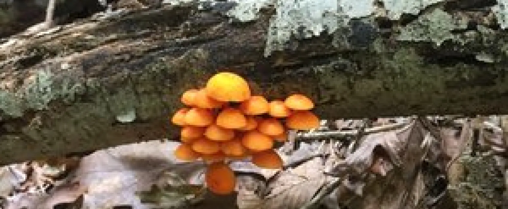 Hardin Ridge Recreation Area