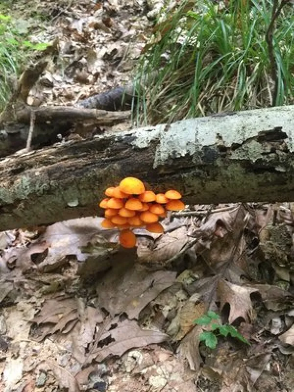 Hardin Ridge Recreation Area