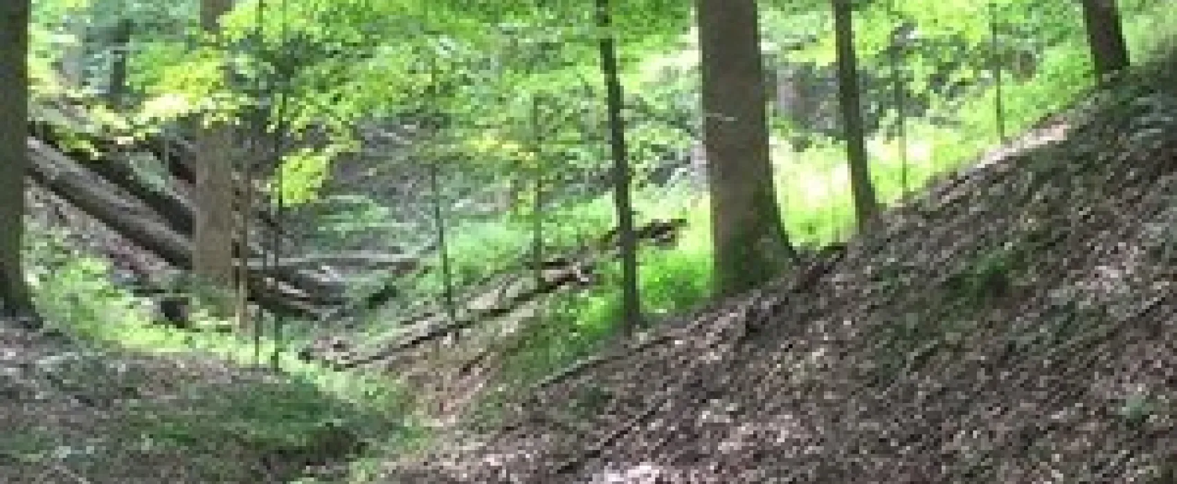 Hardin Ridge Recreation Area