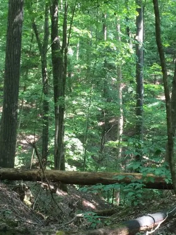 Hardin Ridge Recreation Area