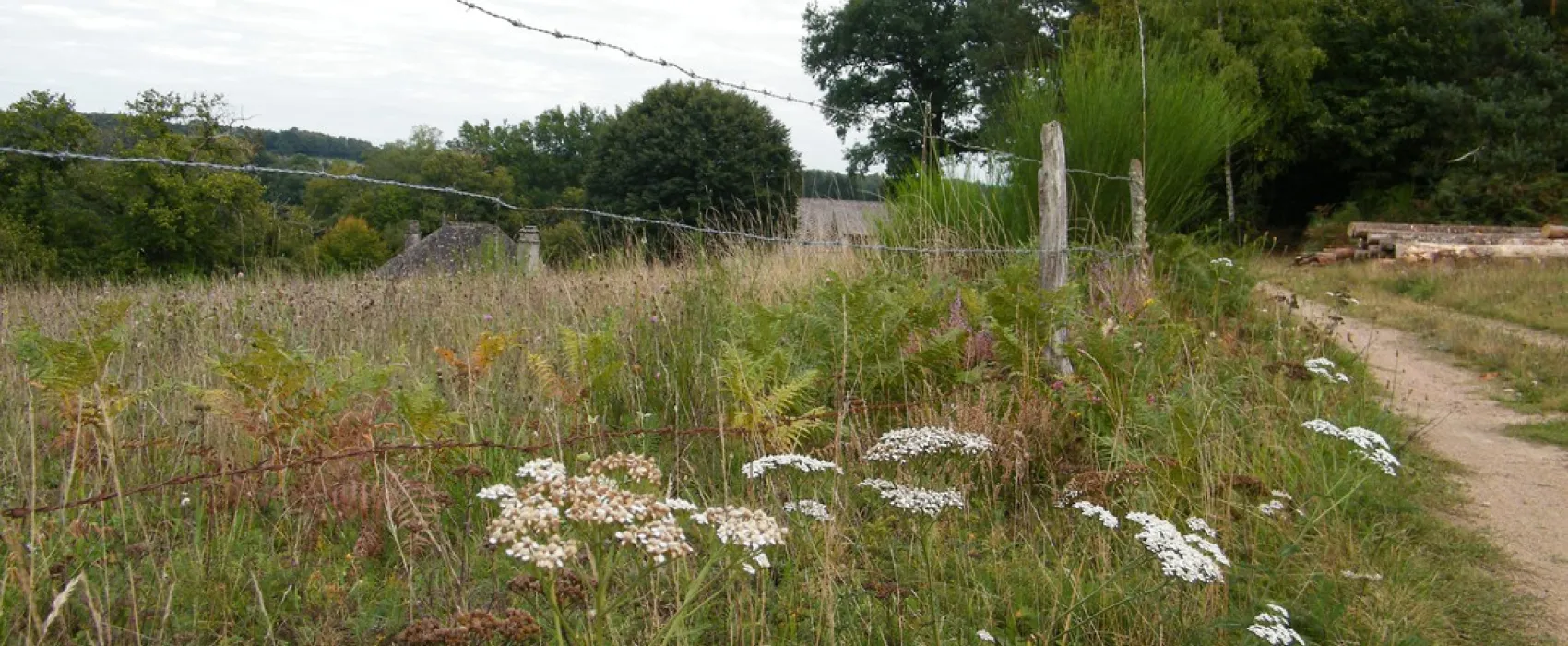Minicamping La Châtaigneraie