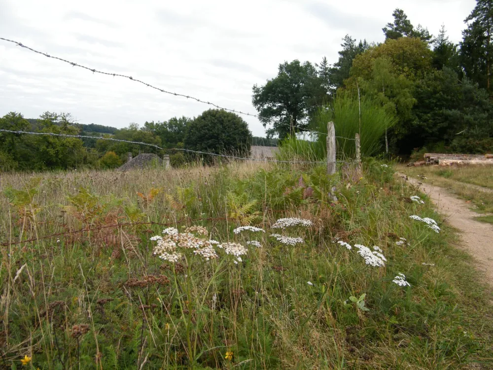 Minicamping La Châtaigneraie