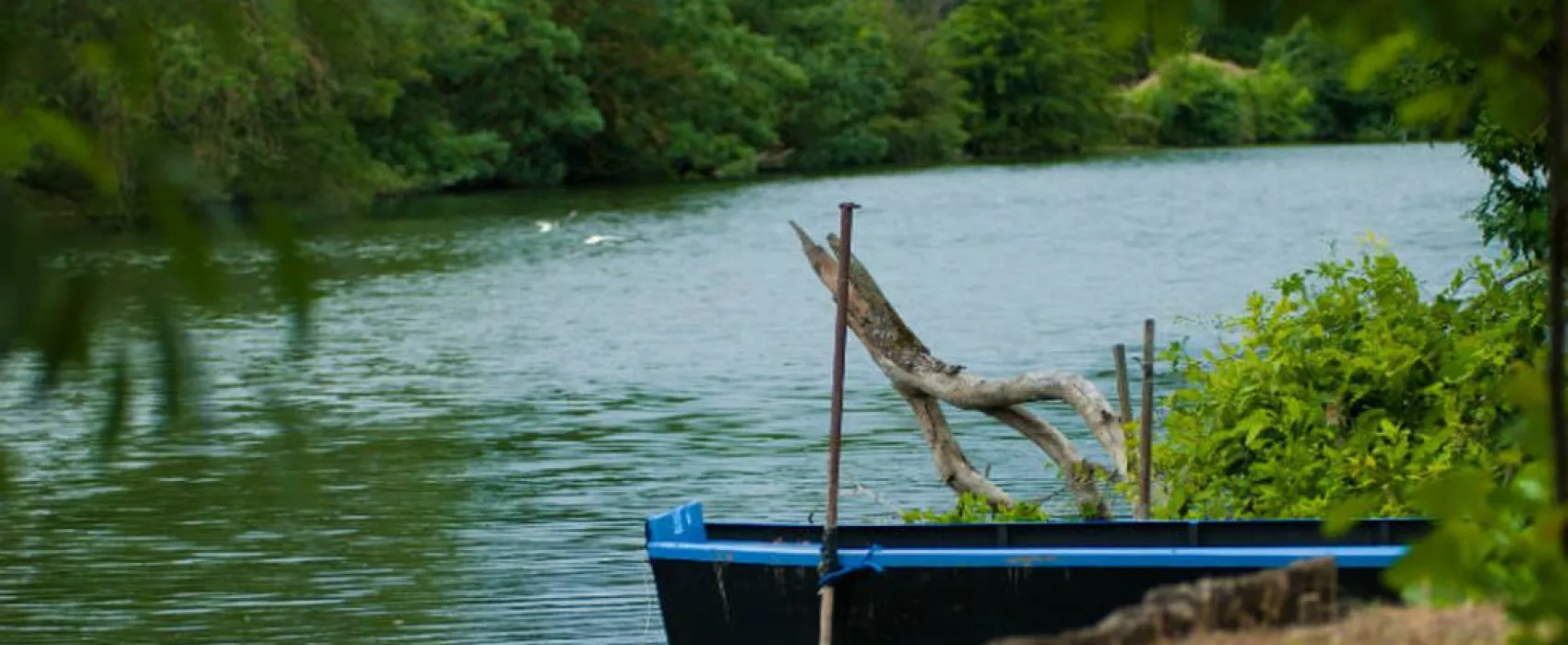 Camping Les Portes de l'Anjou