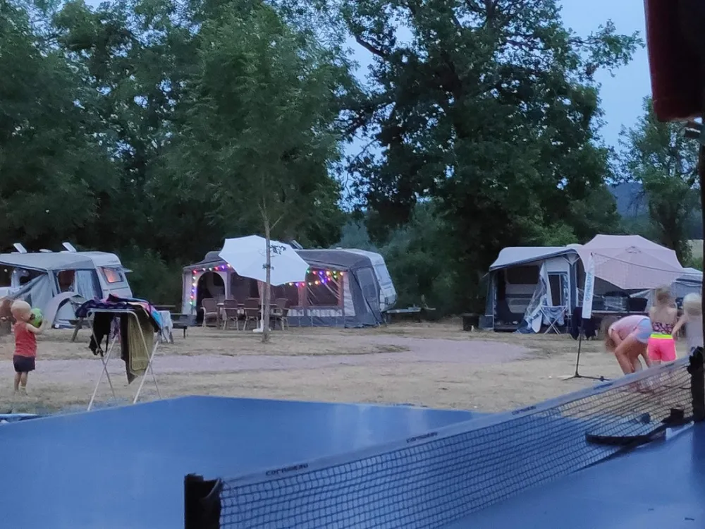 Les Tournesols de Beaulieu