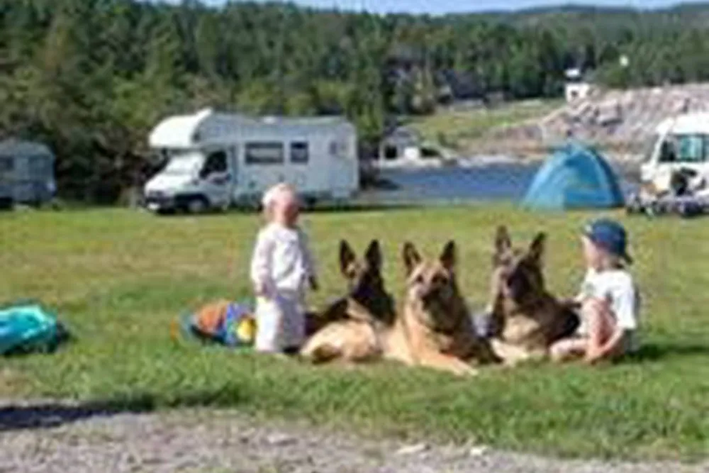 Vågen Camping