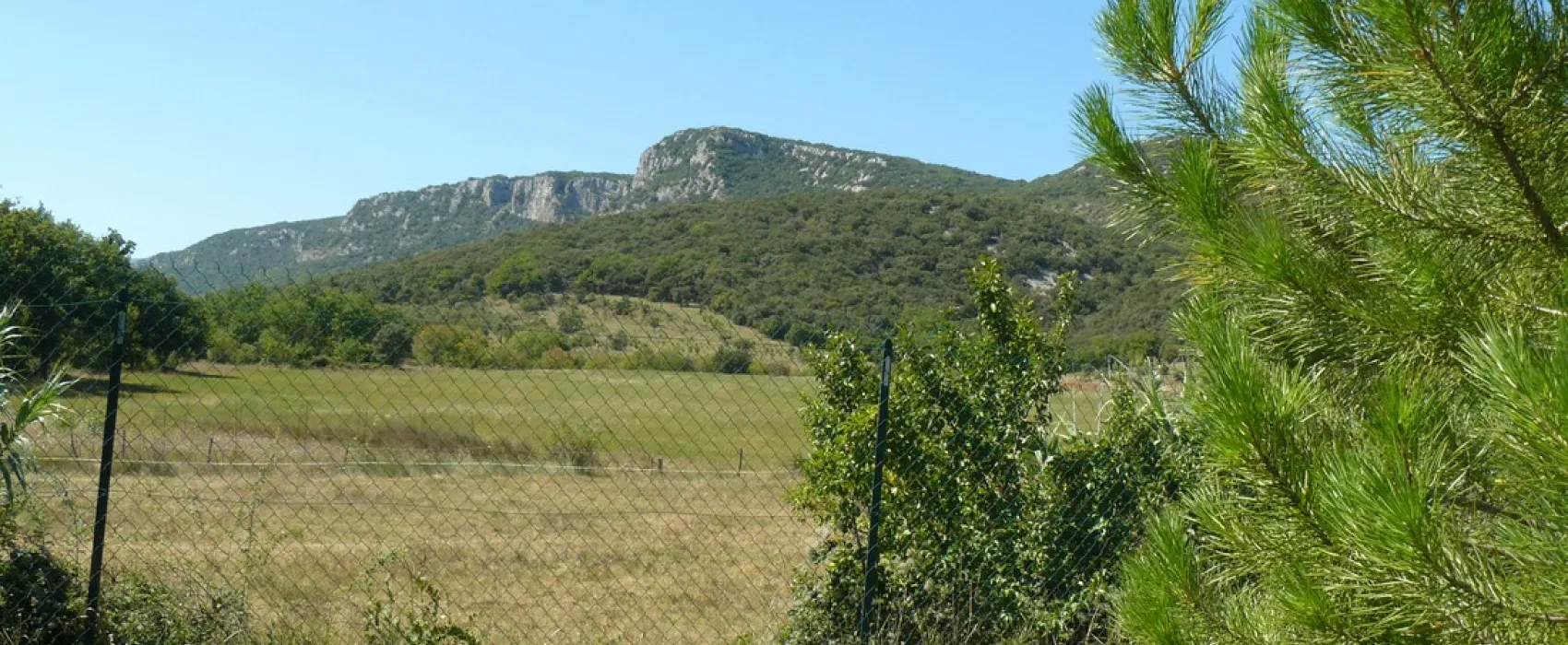 Municipal Le Grillon