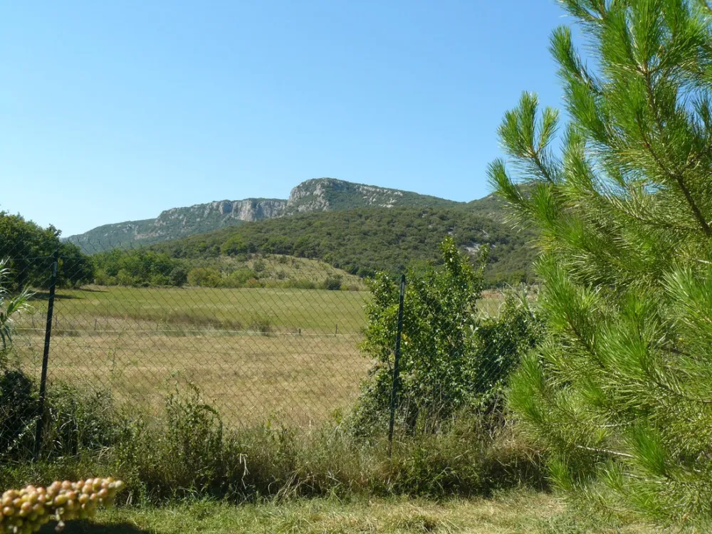 Municipal Le Grillon