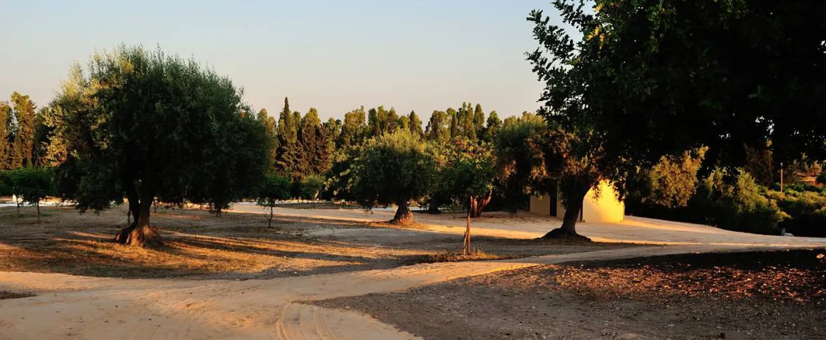 Agri Camping Terra del sole