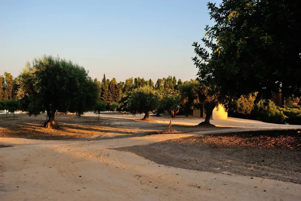 Agri Camping Terra del sole