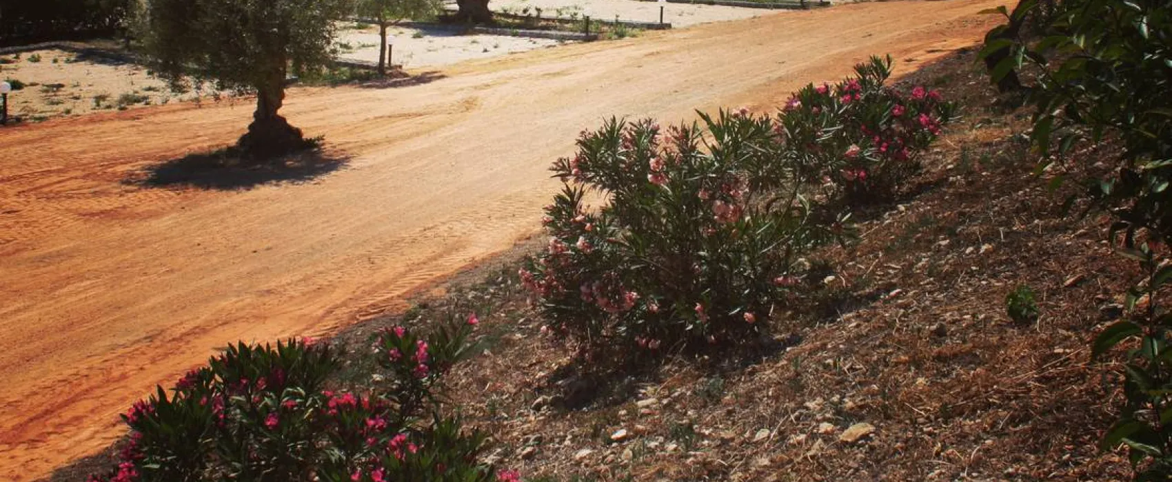 Agri Camping Terra del sole