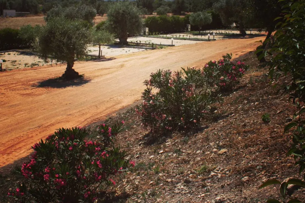 Agri Camping Terra del sole