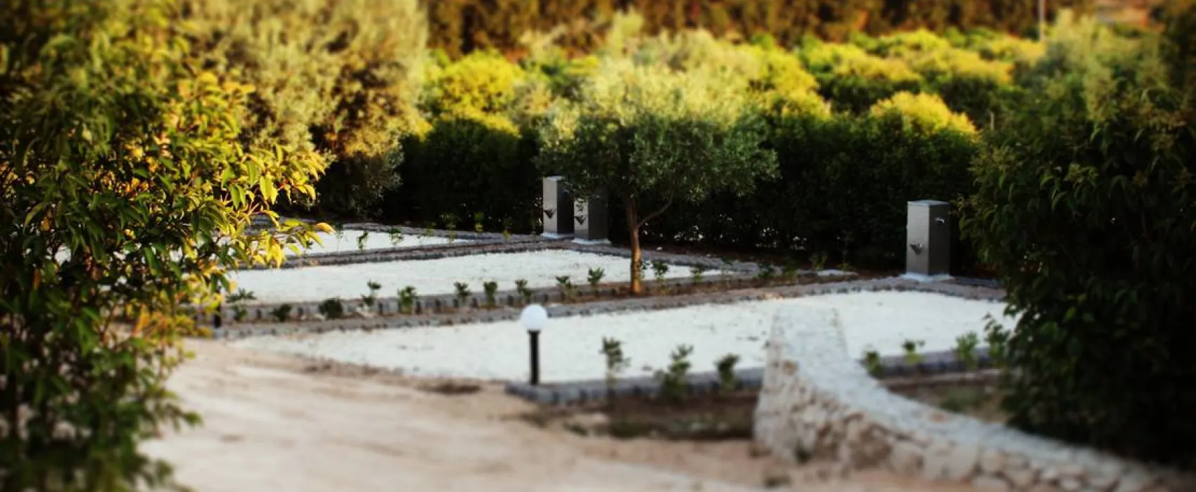 Agri Camping Terra del sole