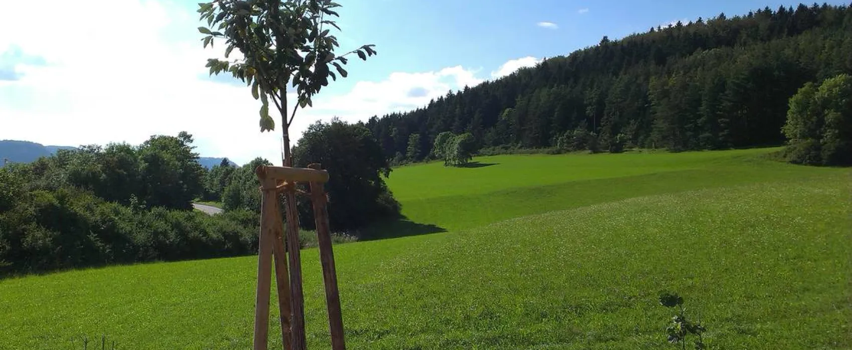 Sonnencamping Albstadt