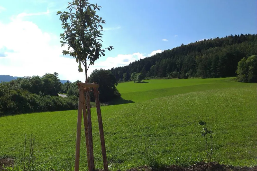 Sonnencamping Albstadt