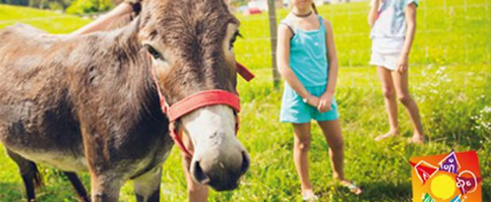 Camping- und Ferienpark Orsingen