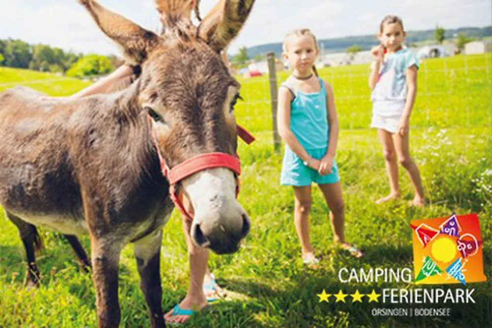 Camping- und Ferienpark Orsingen
