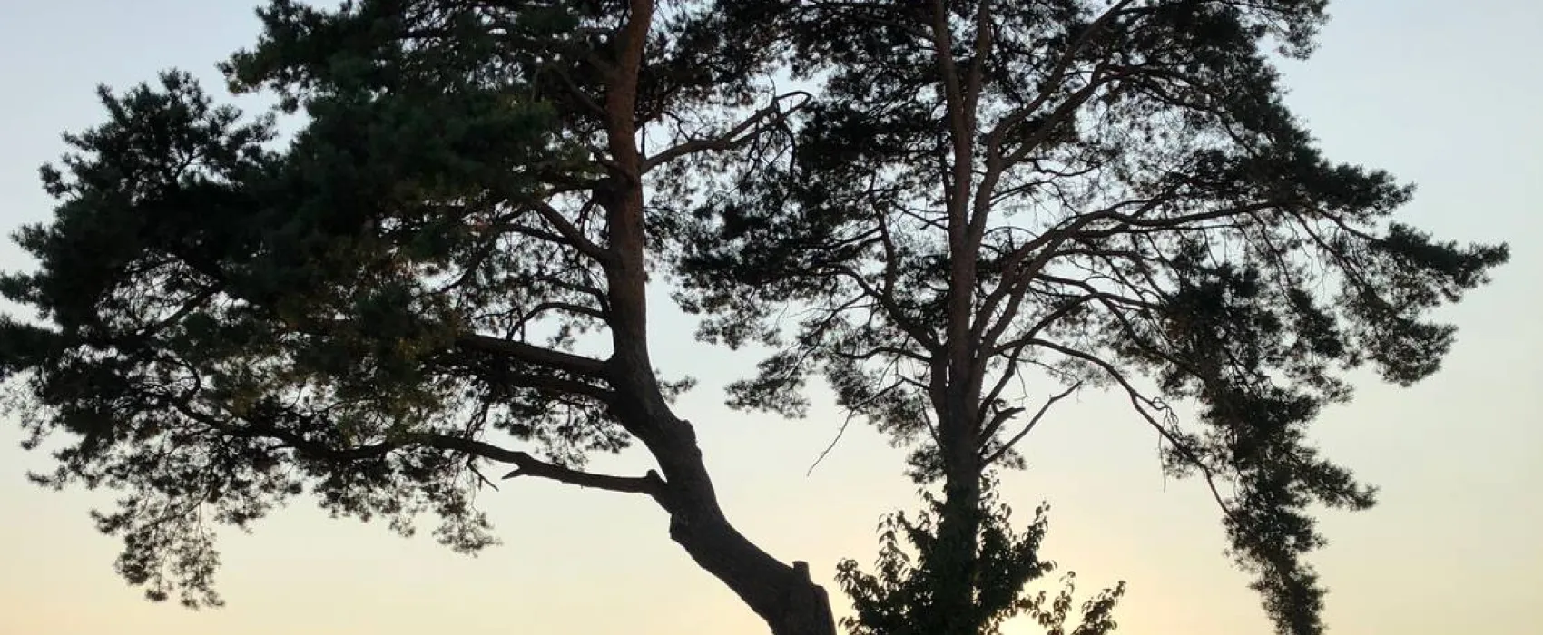 Camping- und Ferienpark Orsingen