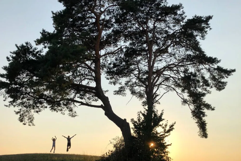 Camping- und Ferienpark Orsingen