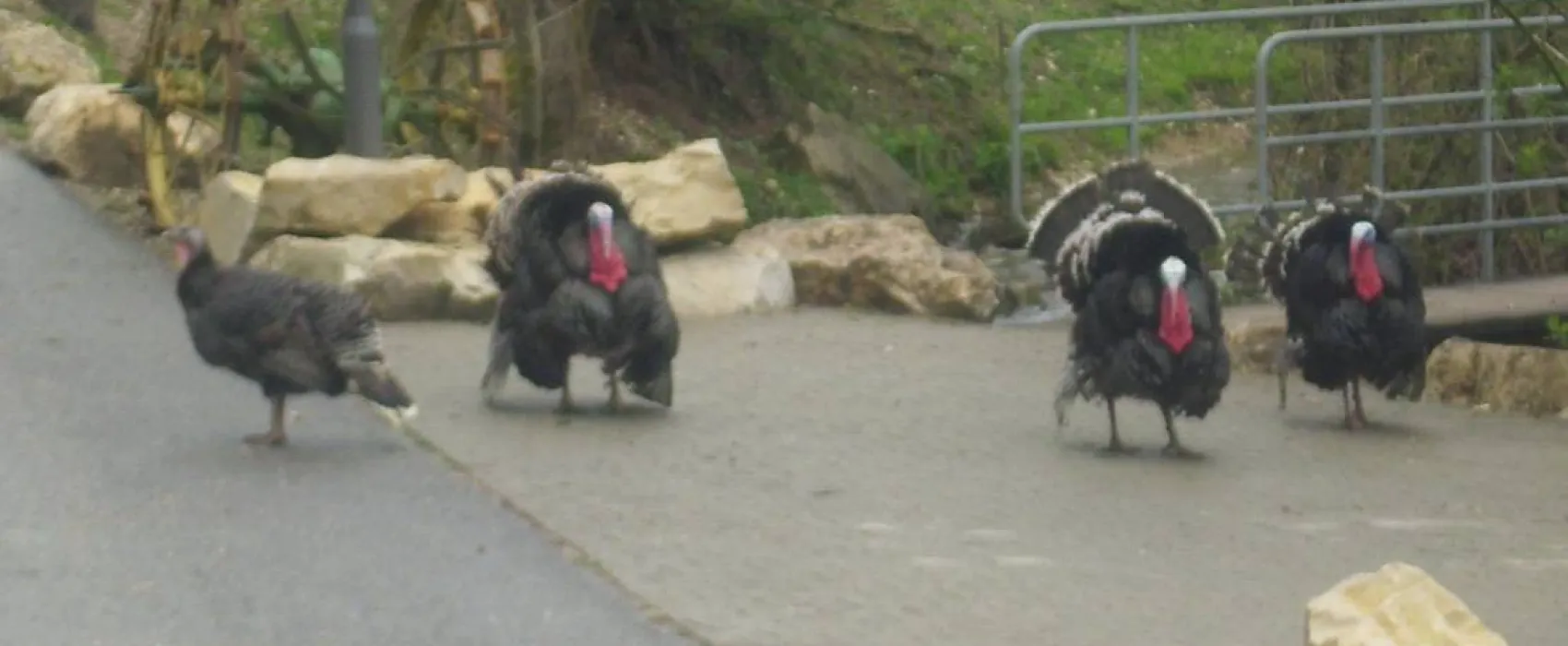 Camping- und Ferienpark Orsingen