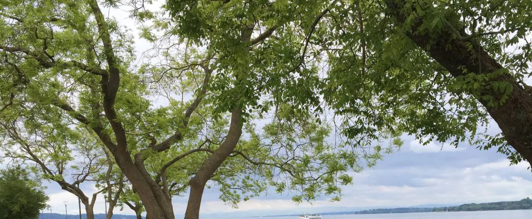 Camping- und Ferienpark Orsingen