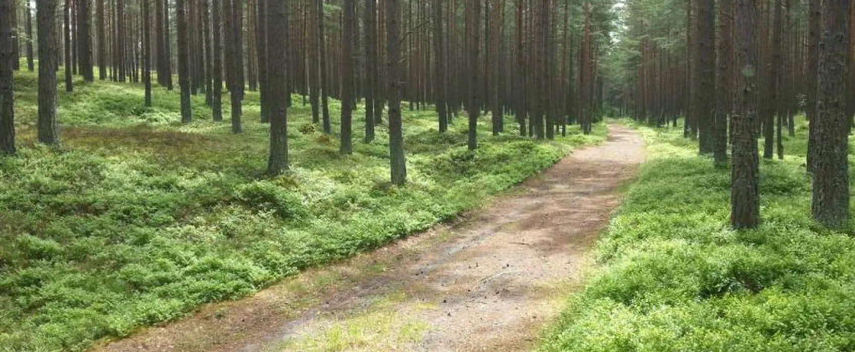 Spares Prieduli Camping Site