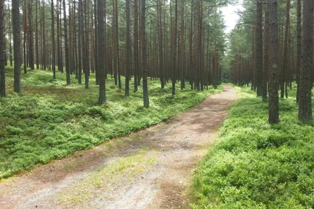 Spares Prieduli Camping Site