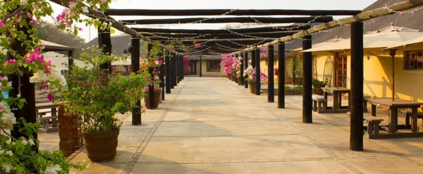 Thabaledi Game Lodge