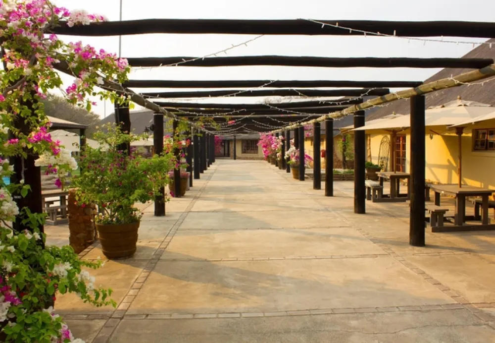 Thabaledi Game Lodge