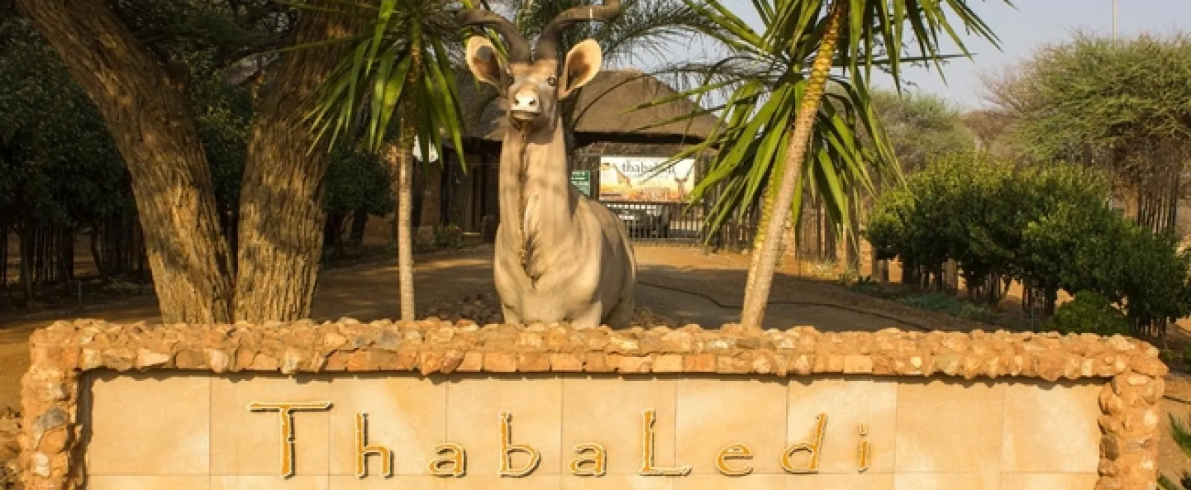 Thabaledi Game Lodge