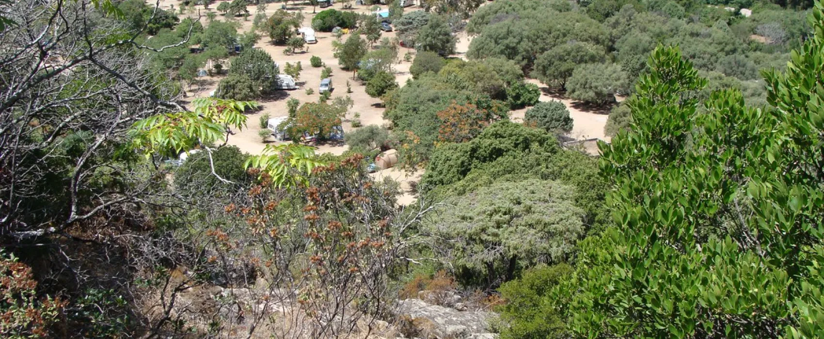 Municipal d'Ota Porto