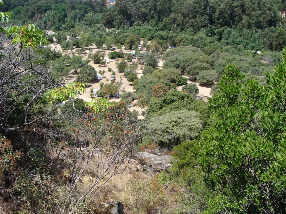 Municipal d'Ota Porto