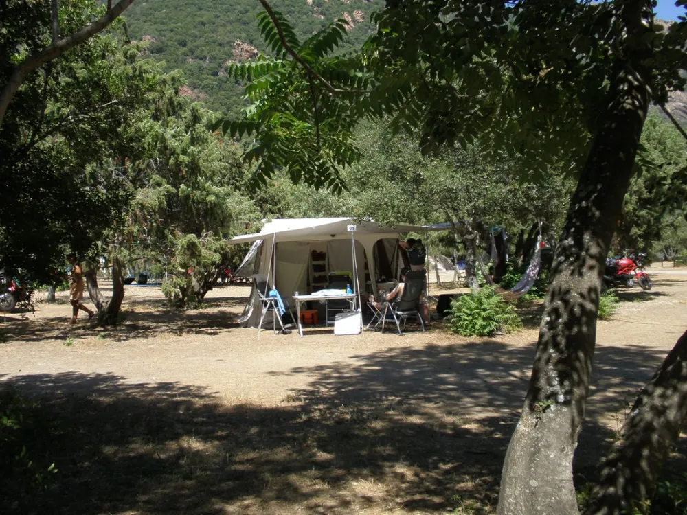 Municipal d'Ota Porto