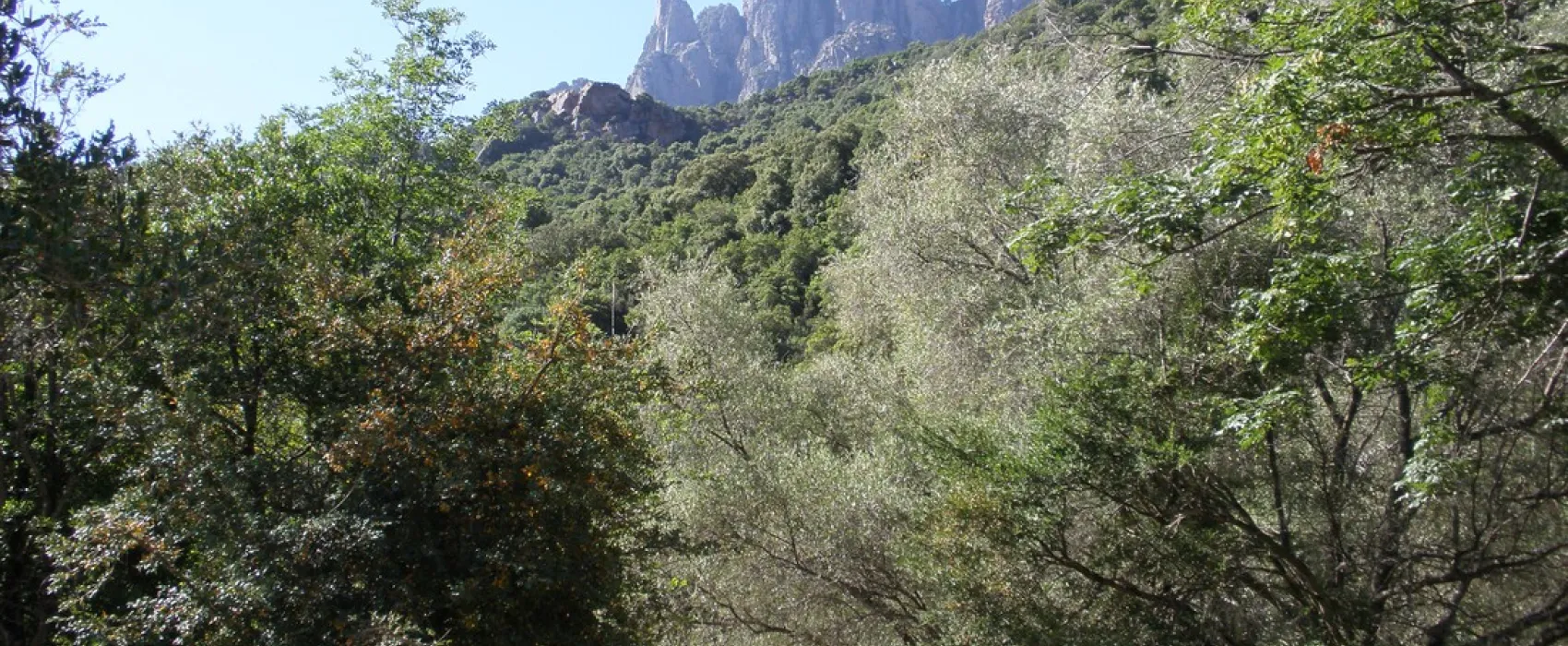 Municipal d'Ota Porto