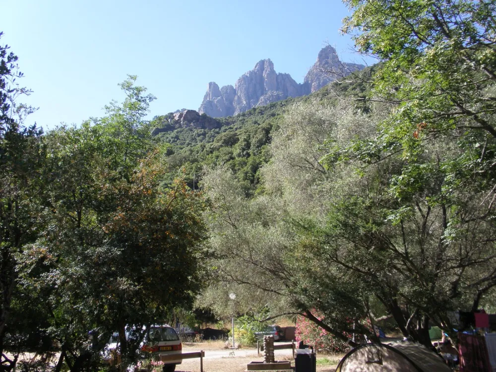 Municipal d'Ota Porto