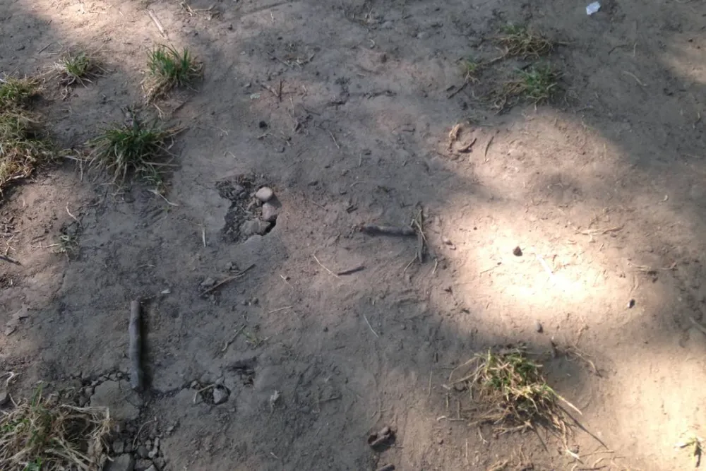 DKV-Campingplatz Bodensee