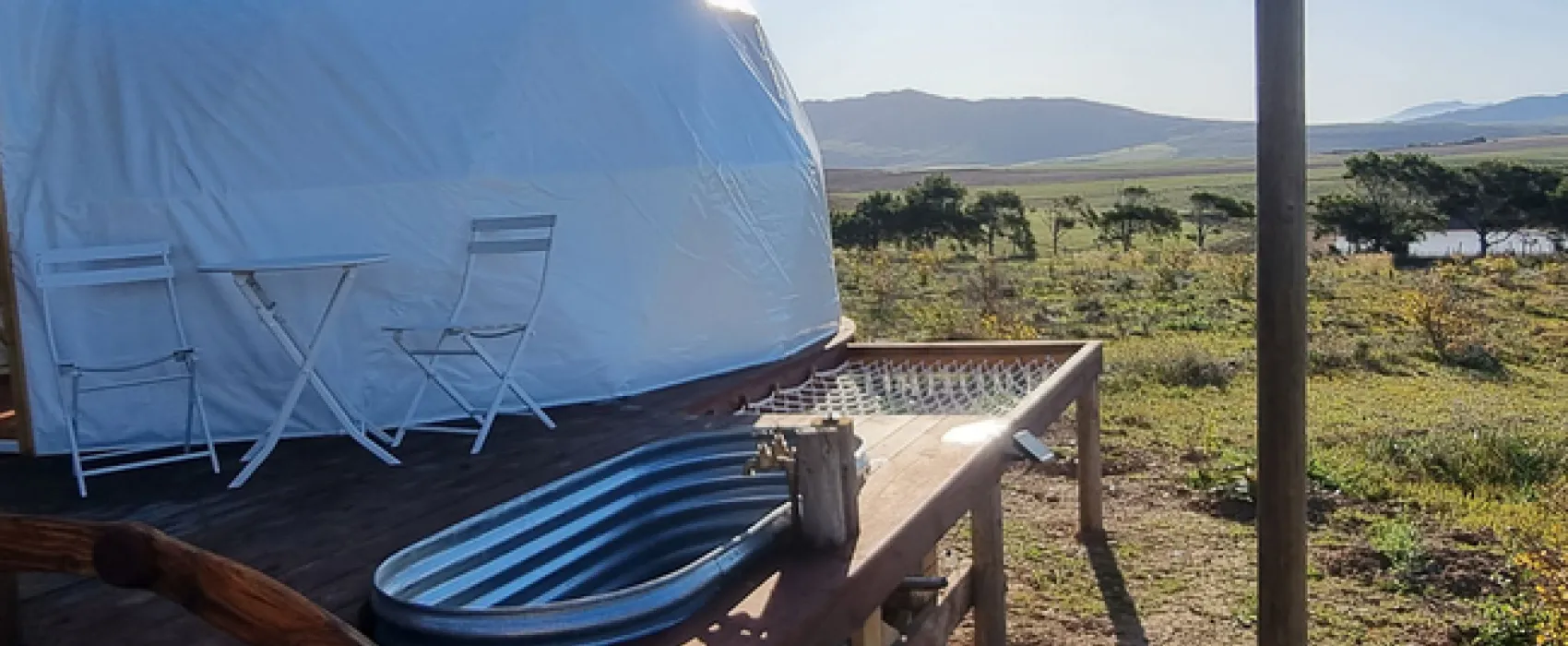 Pom Gratz Tranquility Dome