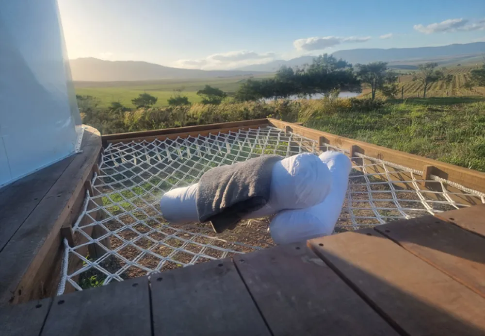 Pom Gratz Tranquility Dome