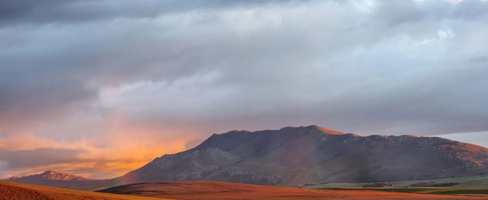 Pom Gratz Tranquility Dome