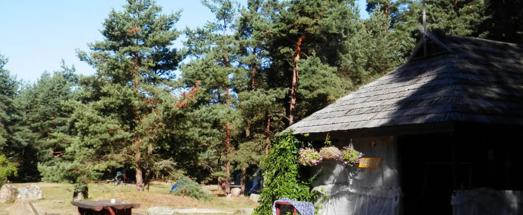 Ziemupes sea-side camping