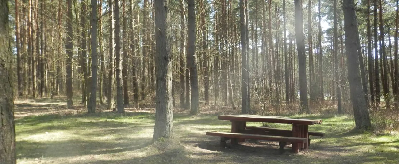 Ziemupes sea-side camping