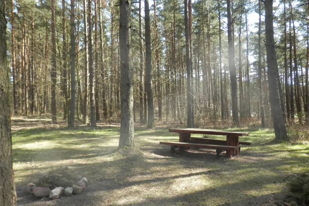 Ziemupes sea-side camping