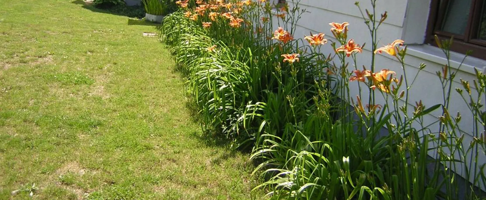 Alsana Camping - Ferienhaus