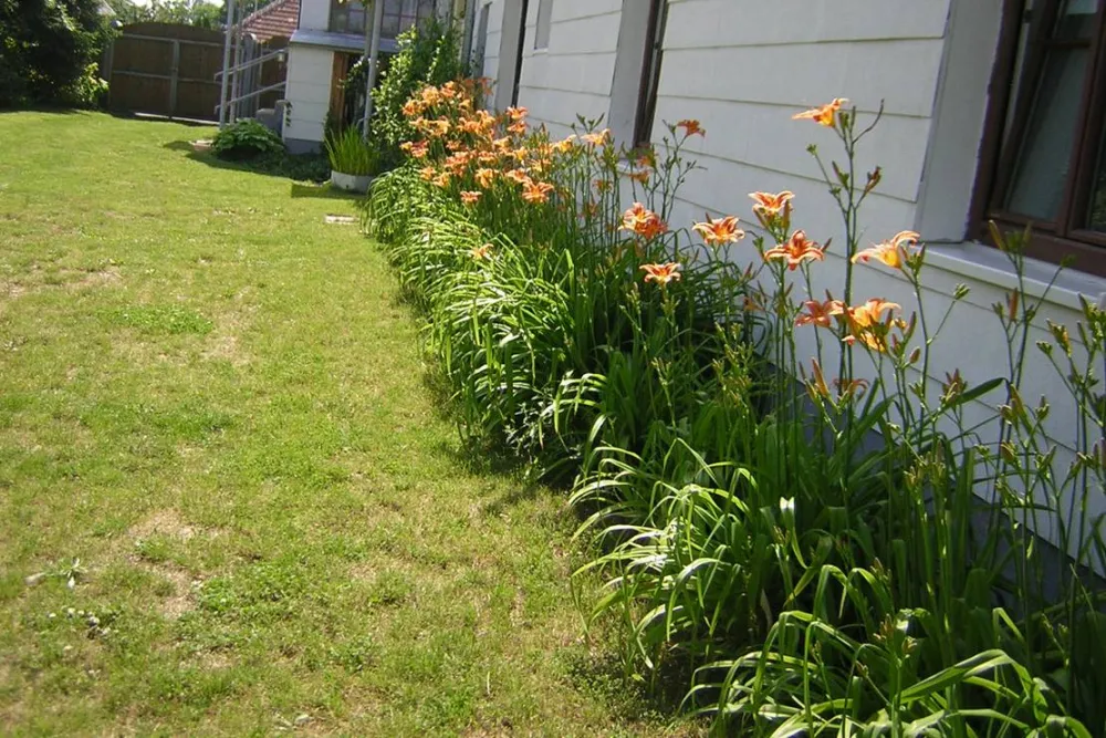 Alsana Camping - Ferienhaus